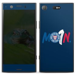 Folien für Smartphones matt