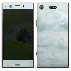 Foils for Smartphones matt