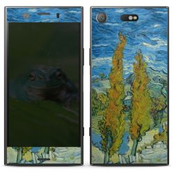 Foils for Smartphones matt