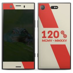 Folien für Smartphones matt