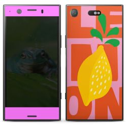 Foils for Smartphones matt