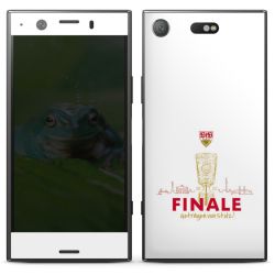 Folien für Smartphones matt