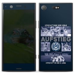 Folien für Smartphones matt