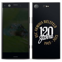 Folien für Smartphones matt