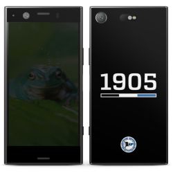 Folien für Smartphones matt