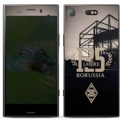 Folien für Smartphones matt