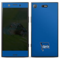 Folien für Smartphones matt