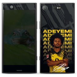 Foils for Smartphones matt