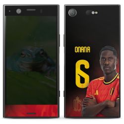 Foils for Smartphones matt