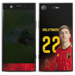 Foils for Smartphones matt