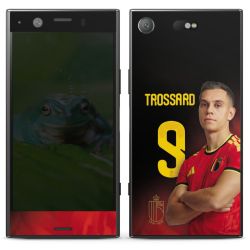 Foils for Smartphones matt