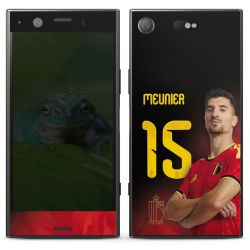 Foils for Smartphones matt