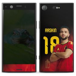 Foils for Smartphones matt