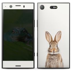 Foils for Smartphones matt