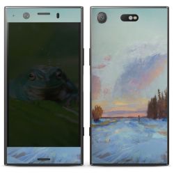 Foils for Smartphones matt