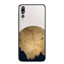 Twee vogels en de maan