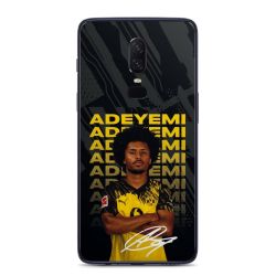 Foils for Smartphones matt