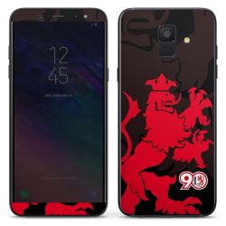 Folien für Smartphones matt