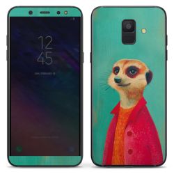 Foils for Smartphones matt