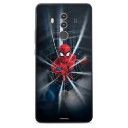 Toile Spider-Man