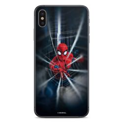 Toile Spider-Man