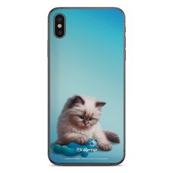 Foils for Smartphones matt