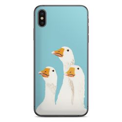 Foils for Smartphones matt