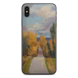 Foils for Smartphones matt