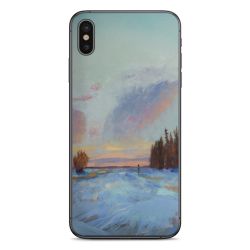 Foils for Smartphones matt