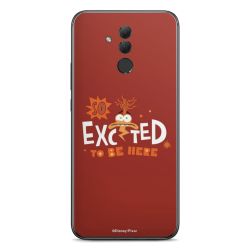 Foils for Smartphones matt