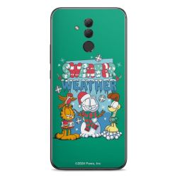 Foils for Smartphones matt