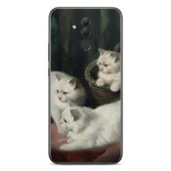 Foils for Smartphones matt