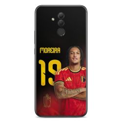 Foils for Smartphones matt