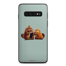 Foils for Smartphones matt