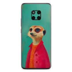 Foils for Smartphones matt