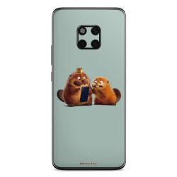 Foils for Smartphones matt