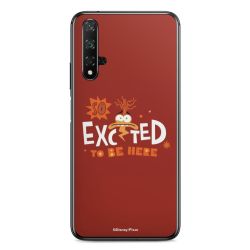 Foils for Smartphones glossy