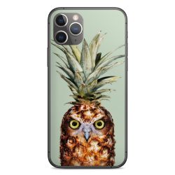 Hibou de l'ananas