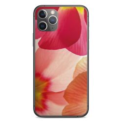 Folier Telefoner måtten