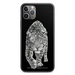 Folier Telefoner måtten