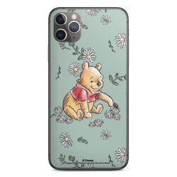 Winnie the Pooh Daisy and Bug Love
