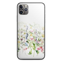 Fleurs de prairie printanières colorées