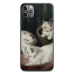 Foils for Smartphones matt