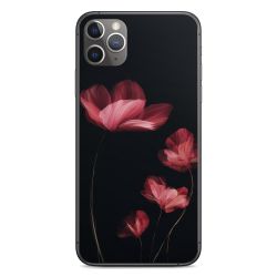 Folier Telefoner måtten