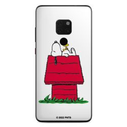 Snoopy and Woodstock Klassisch