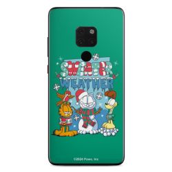 Foils for Smartphones matt