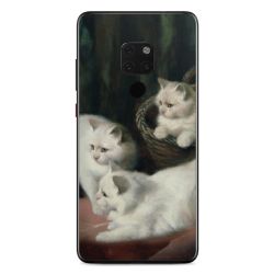 Foils for Smartphones matt