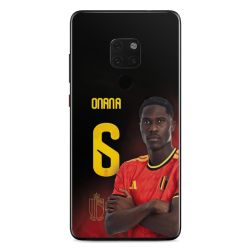 Foils for Smartphones matt