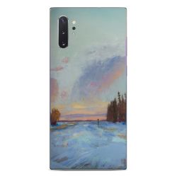 Foils for Smartphones matt