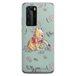 Winnie the Pooh Daisy and Bug Love